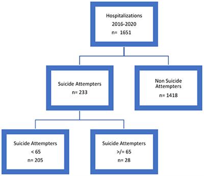 Attempted Suicide in the Older Adults: A Case Series From the Psychiatry Ward of the University Hospital Maggiore Della Carità, Novara, Italy